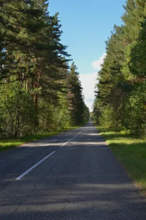 Forest Road
