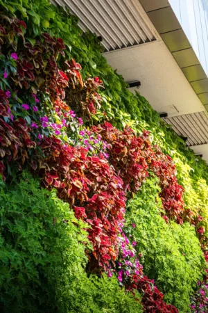 Colorful Vertical Garden