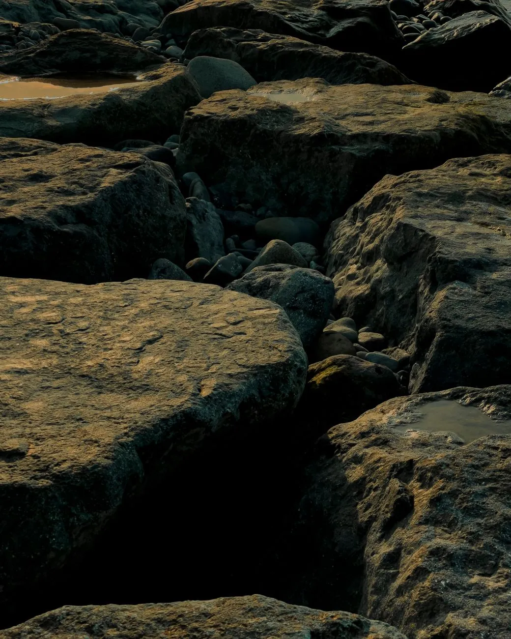 Rocky Shoreline