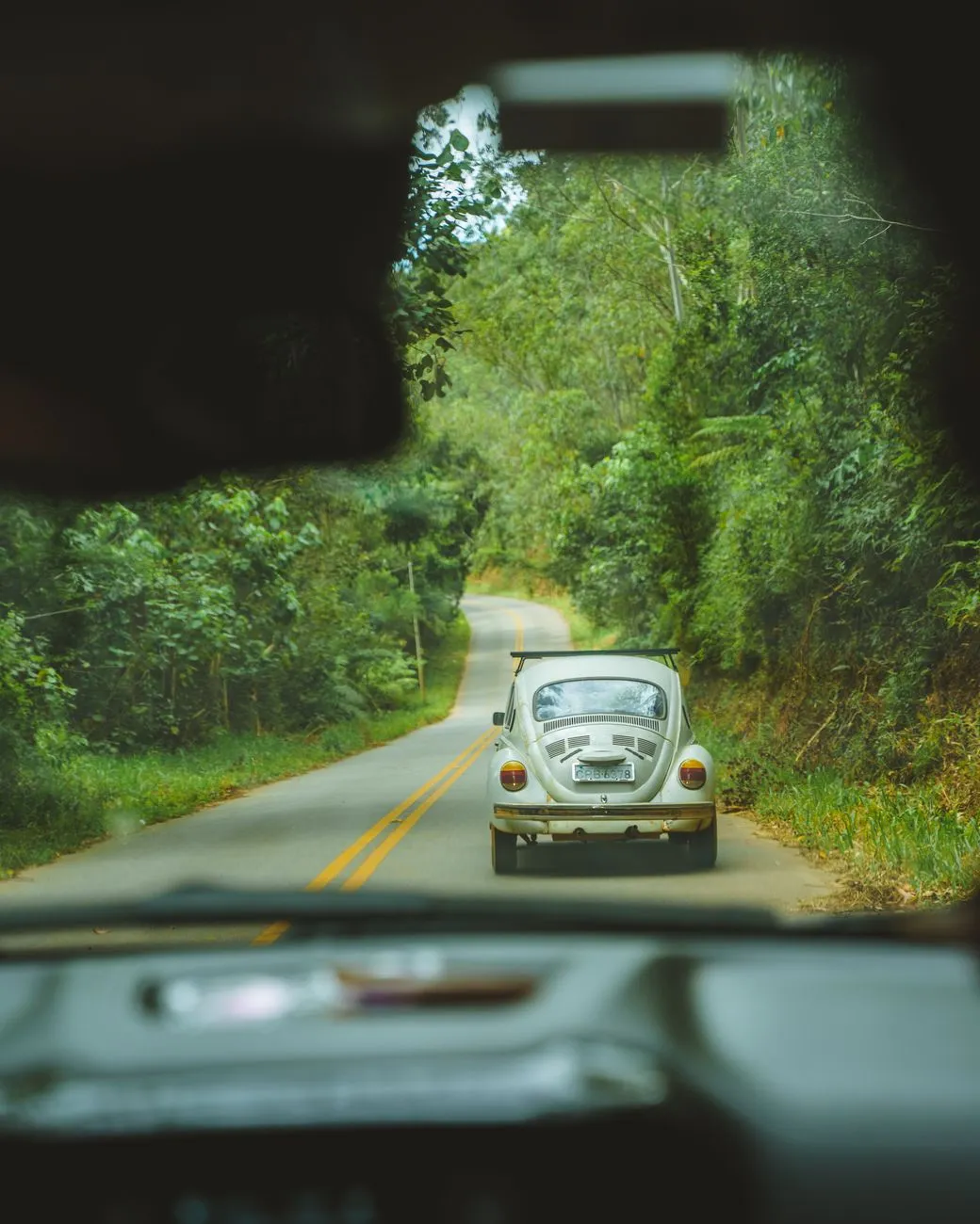 Vintage Car On A Forest Road