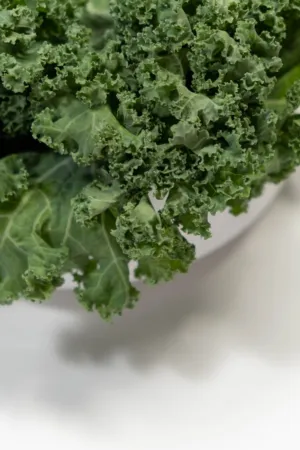 Green Kale Leaves