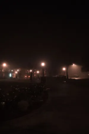 Foggy Night In Suburbia