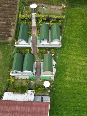 Aerial View Of A Green Roofed Building
