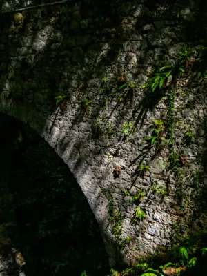 Stone Archway With Vines