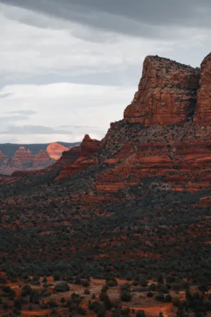 Desert Landscape