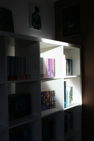 Sunlit Bookshelf