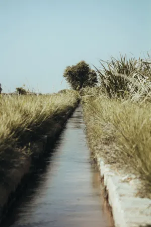 Irrigation Canal