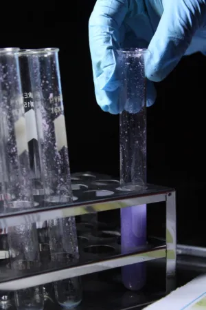 Scientific Experiment