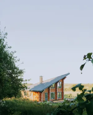 Cabin In The Woods