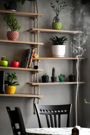 Indoor Plant Display