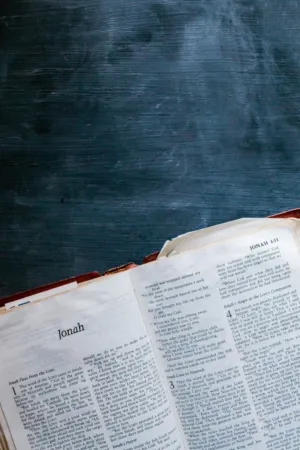 Bible Open To Jonah