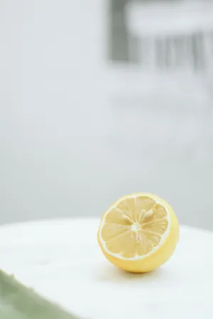 Lemon Slice
