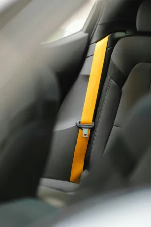 Seat Belt