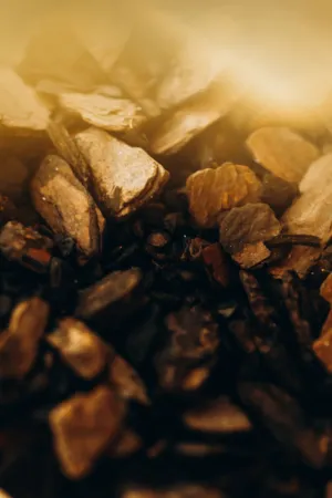 Coals And Stones