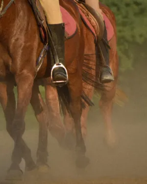 Horseback Riding