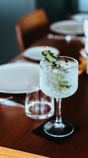 Gin And Tonic