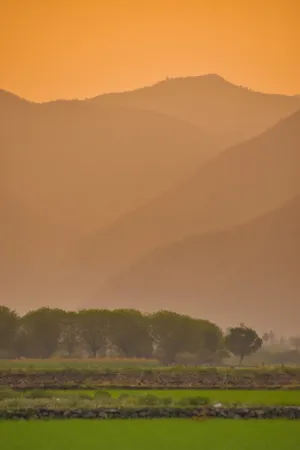 Sunset Over Rolling Hills