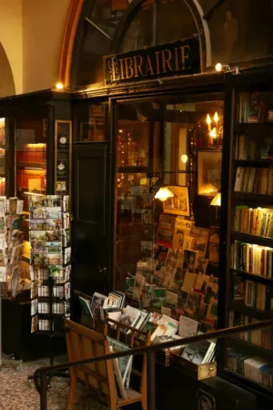 Cozy Bookstore Interior