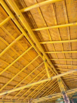 Bamboo Roof Structure