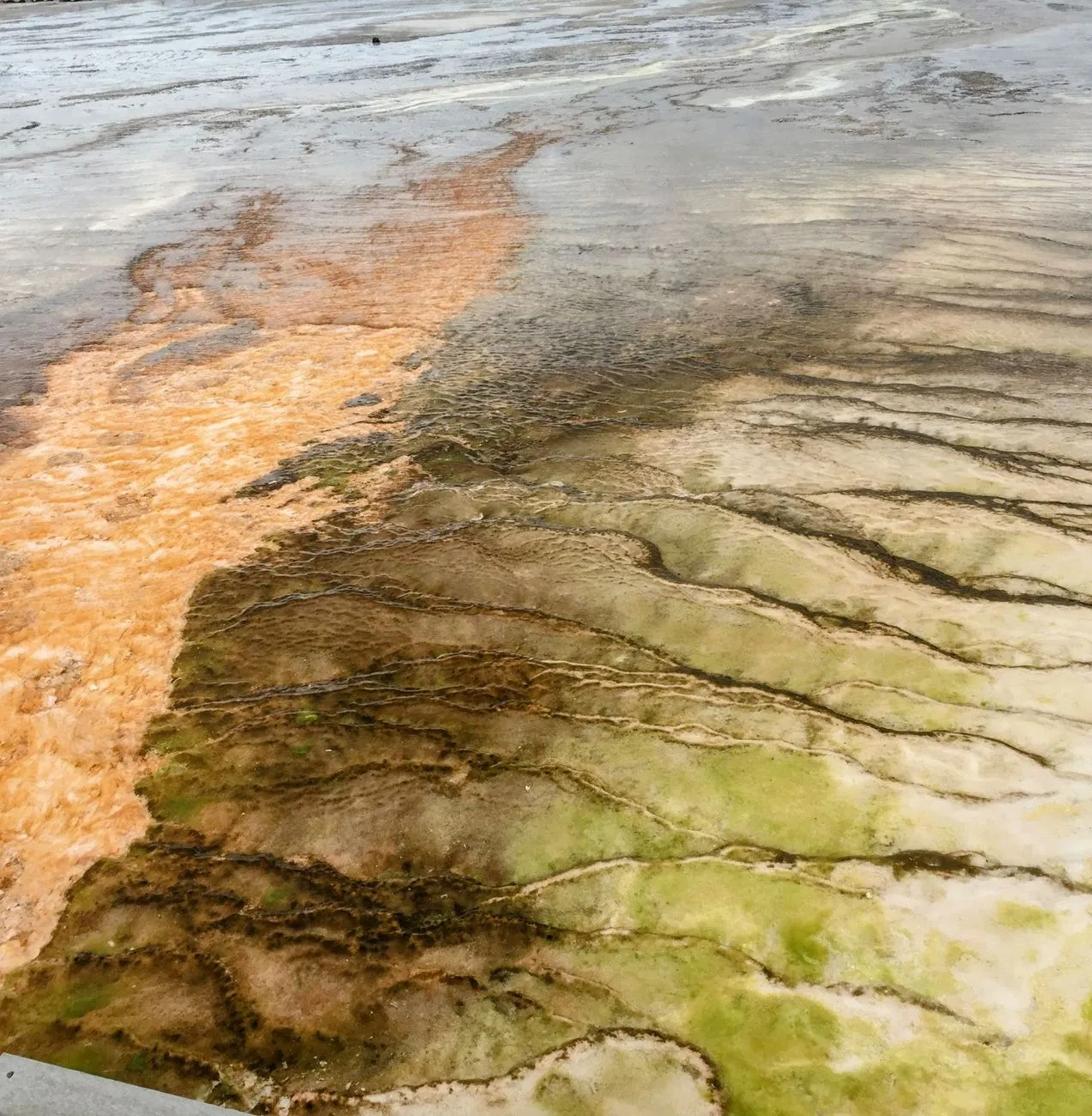 Yellowstone Hot Springs