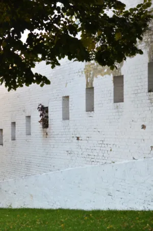 White Brick Wall With Windows