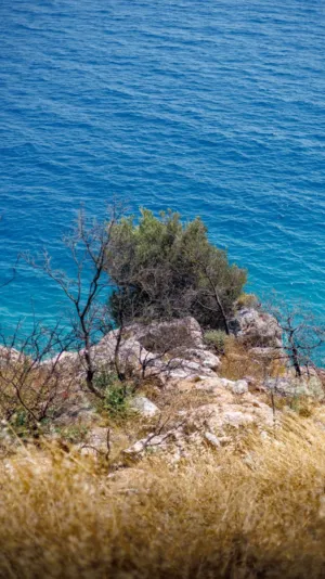 Coastal Landscape