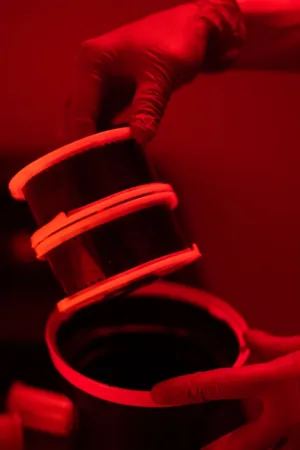 Film Reels In Red Light
