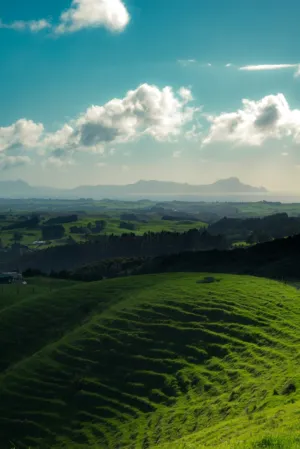 Green Hills And Ocean View