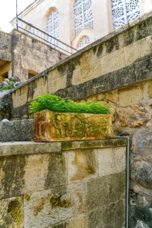 Ancient Stone Planter