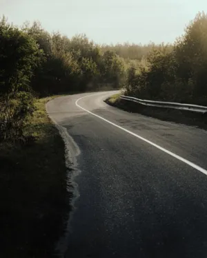 Curving Road Through Forest