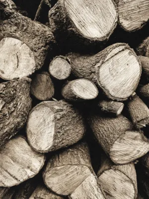 Stacked Logs