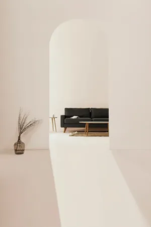Minimalist Living Room