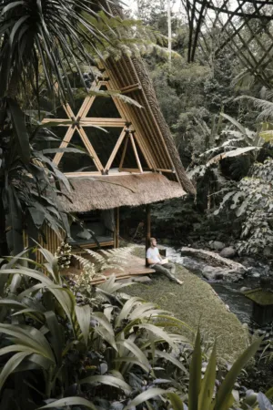 Bamboo Hut In Jungle
