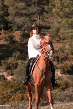 Equestrian Adventure