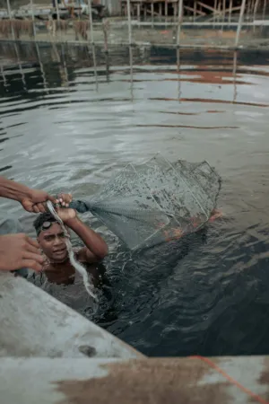 Fishermen At Work