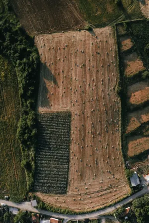 Aerial View Of Harvested Field