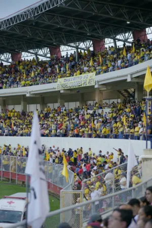 Crowd At A Stadium