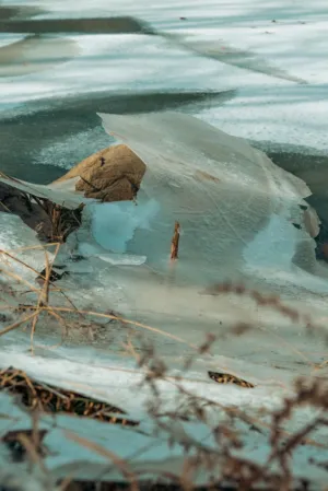 Frozen Landscape