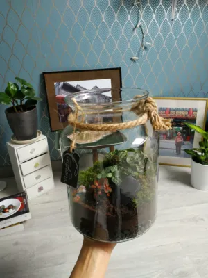 Diy Terrarium