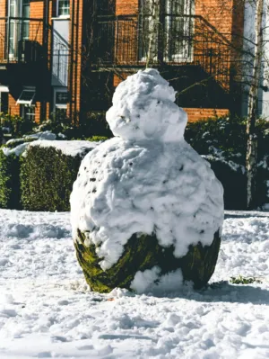 Snowman On A Mossy Stone