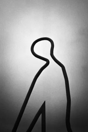 Abstract Silhouette