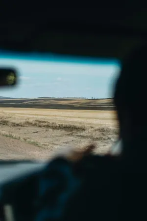 Road Trip
