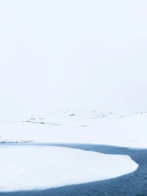 Frozen Landscape