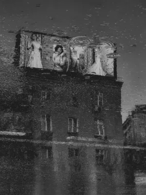 Reflections In Rain