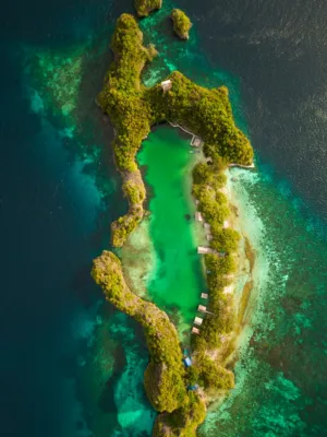 Island Paradise