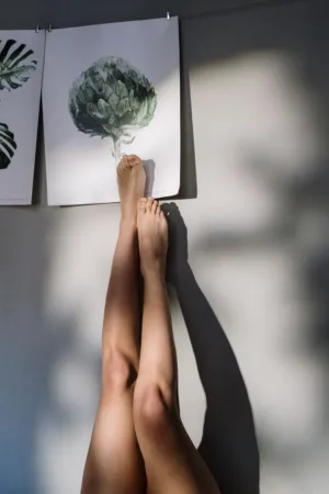 Legs And Artichoke Art