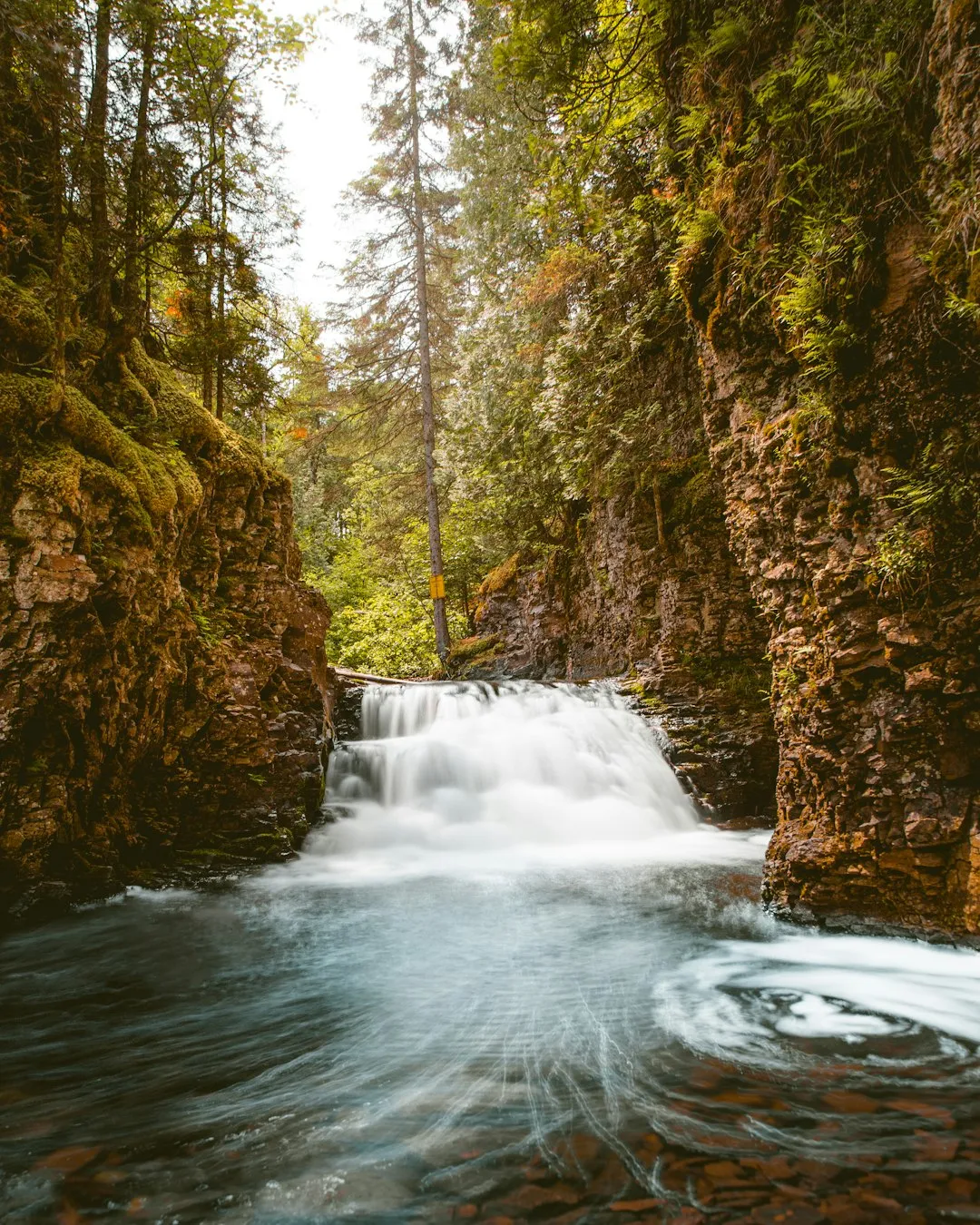 Forest Waterfall