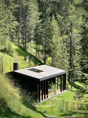 Modern Cabin In The Woods