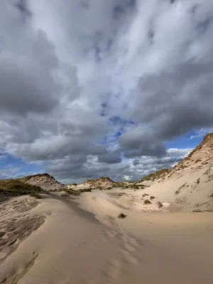 Sand Dunes