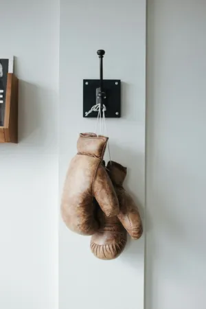 Vintage Boxing Gloves
